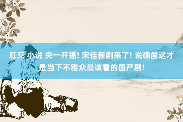 肛交 小说 央一开播! 宋佳新剧来了! 说确凿这才是当下不雅众最该看的国产剧!