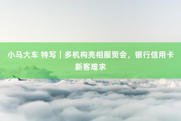 小马大车 特写｜多机构亮相服贸会，银行信用卡新客难求