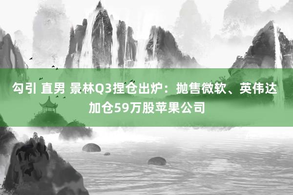 勾引 直男 景林Q3捏仓出炉：抛售微软、英伟达 加仓59万股苹果公司