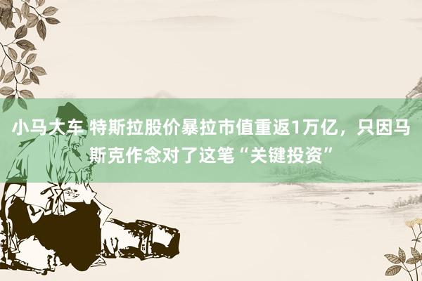 小马大车 特斯拉股价暴拉市值重返1万亿，只因马斯克作念对了这笔“关键投资”