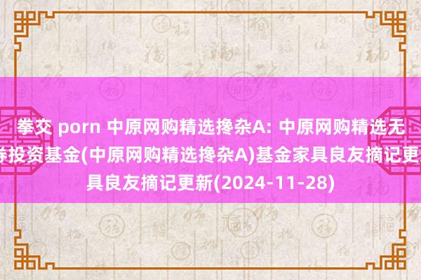 拳交 porn 中原网购精选搀杂A: 中原网购精选无邪设置搀杂型证券投资基金(中原网购精选搀杂A)基金家具良友摘记更新(2024-11-28)