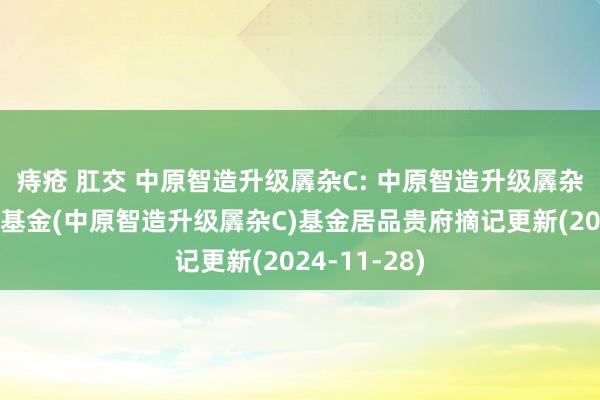 痔疮 肛交 中原智造升级羼杂C: 中原智造升级羼杂型证券投资基金(中原智造升级羼杂C)基金居品贵府摘记更新(2024-11-28)