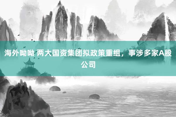 海外呦呦 两大国资集团拟政策重组，事涉多家A股公司