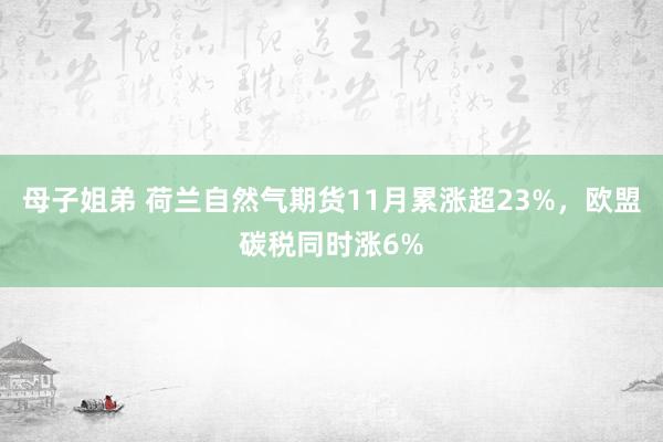 母子姐弟 荷兰自然气期货11月累涨超23%，欧盟碳税同时涨6%