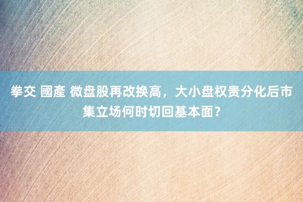 拳交 國產 微盘股再改换高，大小盘权贵分化后市集立场何时切回基本面？