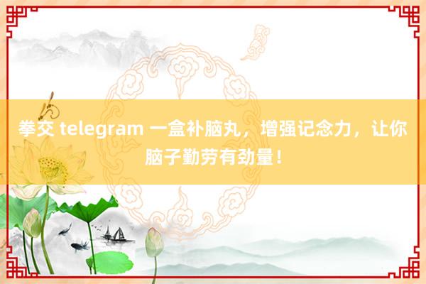 拳交 telegram 一盒补脑丸，增强记念力，让你脑子勤劳有劲量！