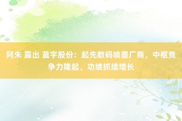 阿朱 露出 蓝宇股份：起先数码喷墨厂商，中枢竞争力隆起、功绩抓续增长