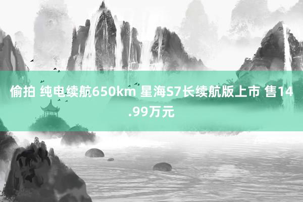 偷拍 纯电续航650km 星海S7长续航版上市 售14.99万元