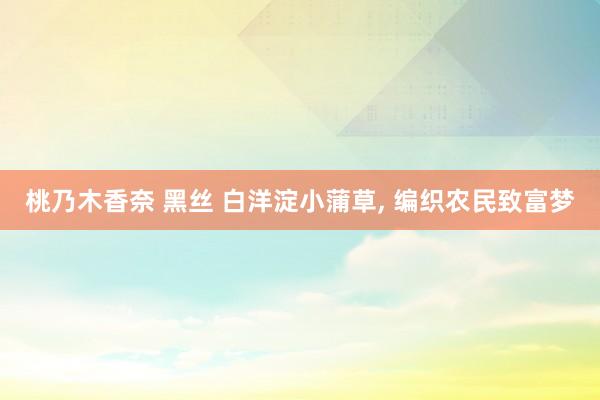 桃乃木香奈 黑丝 白洋淀小蒲草， 编织农民致富梦