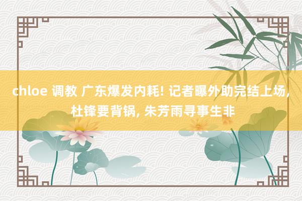 chloe 调教 广东爆发内耗! 记者曝外助完结上场， 杜锋要背锅， 朱芳雨寻事生非