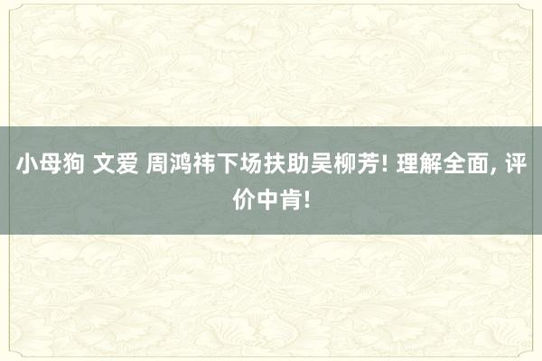 小母狗 文爱 周鸿祎下场扶助吴柳芳! 理解全面, 评价中肯!
