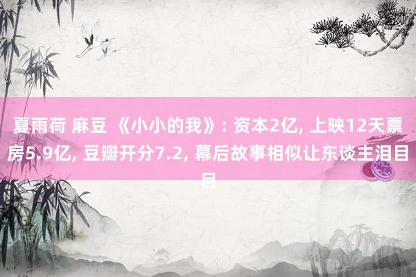 夏雨荷 麻豆 《小小的我》: 资本2亿， 上映12天票房5.9亿， 豆瓣开分7.2， 幕后故事相似让东谈主泪目