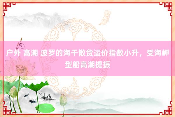 户外 高潮 波罗的海干散货运价指数小升，受海岬型船高潮提振