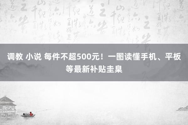 调教 小说 每件不超500元！一图读懂手机、平板等最新补贴圭臬