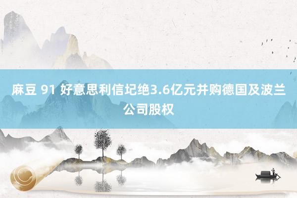 麻豆 91 好意思利信圮绝3.6亿元并购德国及波兰公司股权