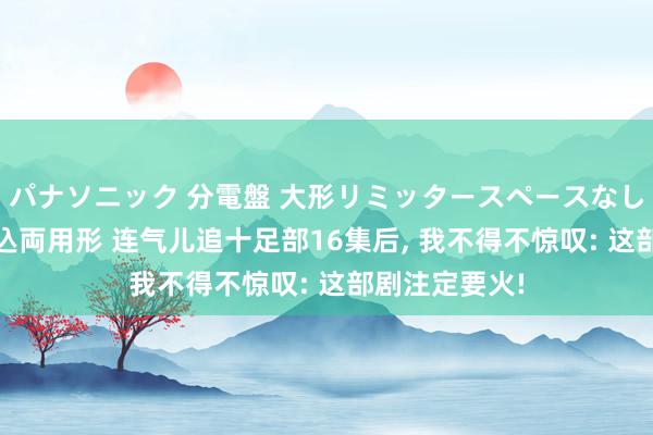 パナソニック 分電盤 大形リミッタースペースなし 露出・半埋込両用形 连气儿追十足部16集后, 我不得不惊叹: 这部剧注定要火!