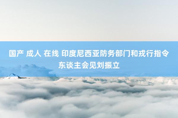 国产 成人 在线 印度尼西亚防务部门和戎行指令东谈主会见刘振立