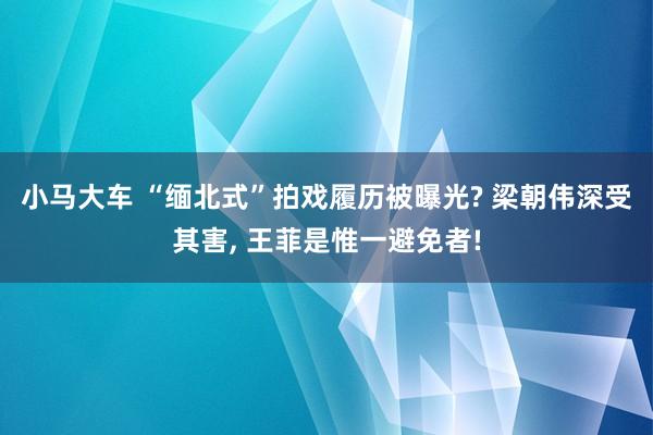 小马大车 “缅北式”拍戏履历被曝光? 梁朝伟深受其害, 王菲是惟一避免者!