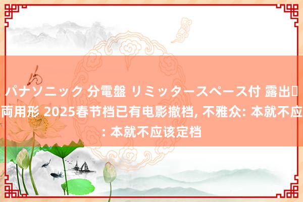 パナソニック 分電盤 リミッタースペース付 露出・半埋込両用形 2025春节档已有电影撤档, 不雅众: 本就不应该定档