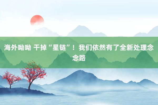 海外呦呦 干掉“星链”！我们依然有了全新处理念念路