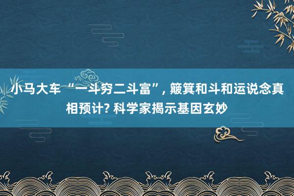 小马大车 “一斗穷二斗富”, 簸箕和斗和运说念真相预计? 科学家揭示基因玄妙