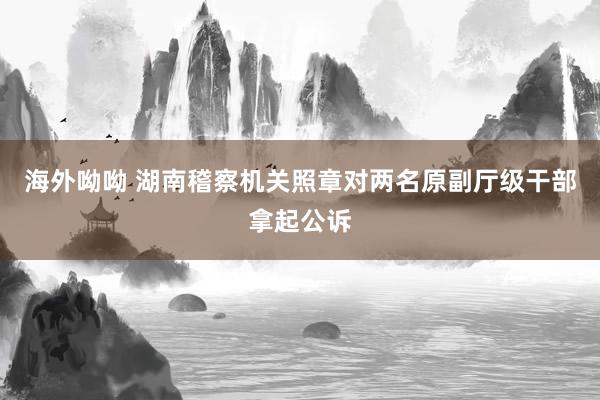 海外呦呦 湖南稽察机关照章对两名原副厅级干部拿起公诉