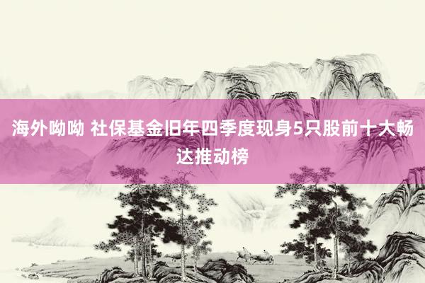 海外呦呦 社保基金旧年四季度现身5只股前十大畅达推动榜