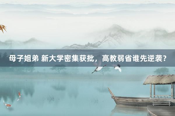 母子姐弟 新大学密集获批，高教弱省谁先逆袭？