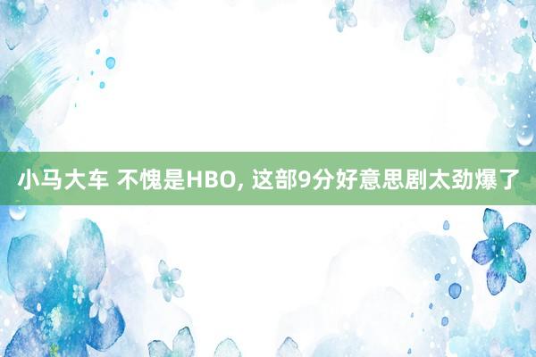 小马大车 不愧是HBO, 这部9分好意思剧太劲爆了