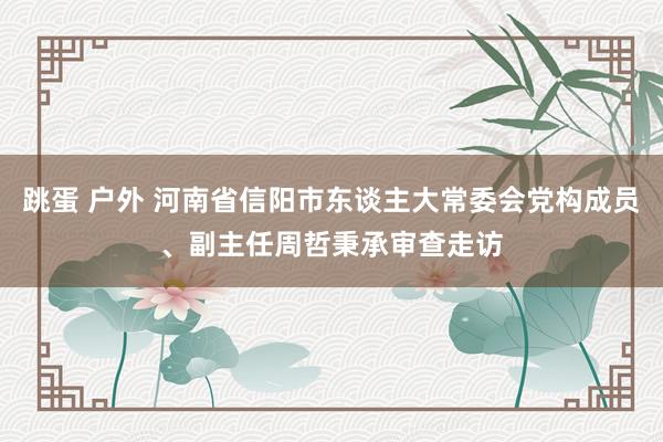 跳蛋 户外 河南省信阳市东谈主大常委会党构成员、副主任周哲秉承审查走访