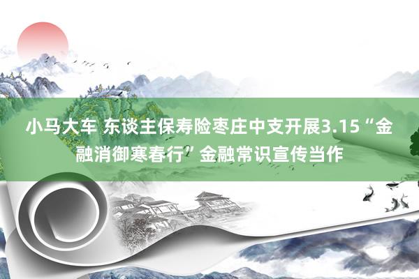 小马大车 东谈主保寿险枣庄中支开展3.15“金融消御寒春行”金融常识宣传当作