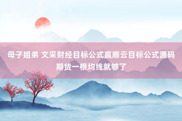 母子姐弟 文采财经目标公式赢顺云目标公式源码期货一根均线就够了