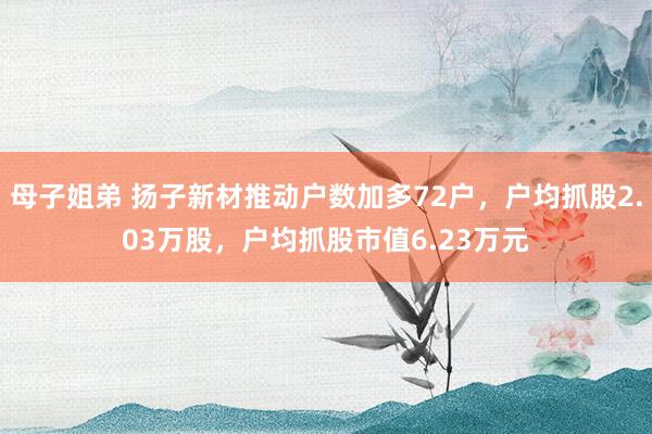母子姐弟 扬子新材推动户数加多72户，户均抓股2.03万股，户均抓股市值6.23万元