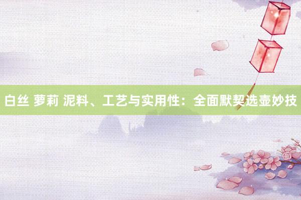 白丝 萝莉 泥料、工艺与实用性：全面默契选壶妙技