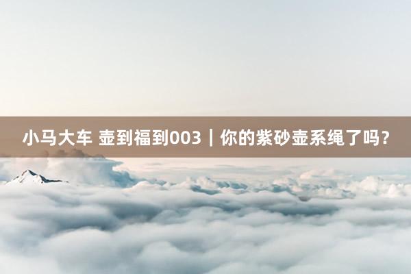 小马大车 壶到福到003｜你的紫砂壶系绳了吗？