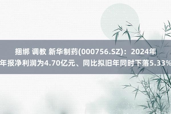 捆绑 调教 新华制药(000756.SZ)：2024年年报净利润为4.70亿元、同比拟旧年同时下落5.33%