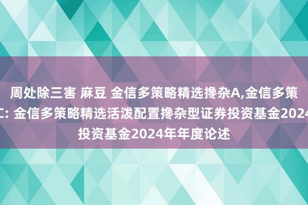 周处除三害 麻豆 金信多策略精选搀杂A,金信多策略精选搀杂C: 金信多策略精选活泼配置搀杂型证券投资基金2024年年度论述