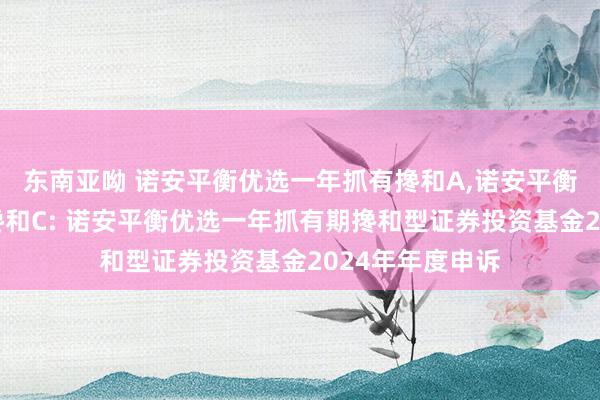 东南亚呦 诺安平衡优选一年抓有搀和A,诺安平衡优选一年抓有搀和C: 诺安平衡优选一年抓有期搀和型证券投资基金2024年年度申诉