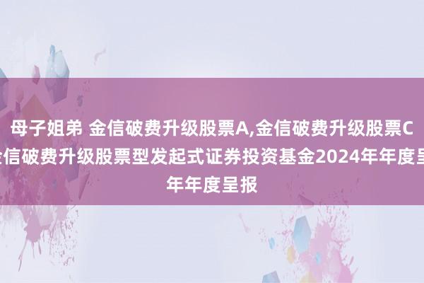 母子姐弟 金信破费升级股票A,金信破费升级股票C: 金信破费升级股票型发起式证券投资基金2024年年度呈报