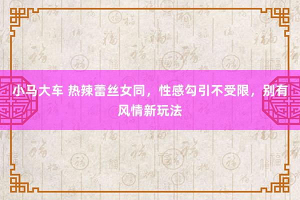 小马大车 热辣蕾丝女同，性感勾引不受限，别有风情新玩法