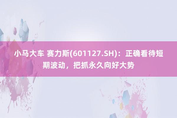 小马大车 赛力斯(601127.SH)：正确看待短期波动，把抓永久向好大势