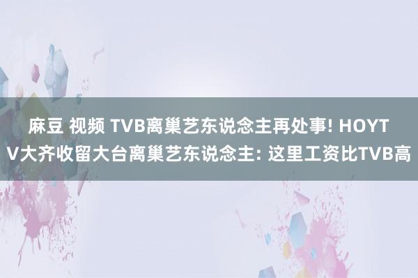 麻豆 视频 TVB离巢艺东说念主再处事! HOYTV大齐收留大台离巢艺东说念主: 这里工资比TVB高