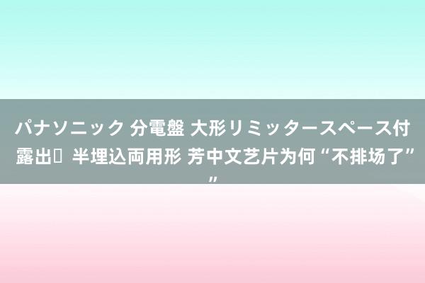 パナソニック 分電盤 大形リミッタースペース付 露出・半埋込両用形 芳中文艺片为何“不排场了”