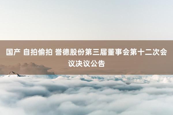 国产 自拍偷拍 誉德股份第三届董事会第十二次会议决议公告