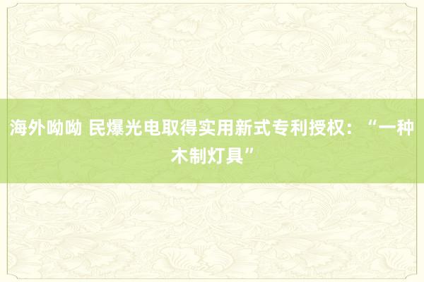 海外呦呦 民爆光电取得实用新式专利授权：“一种木制灯具”