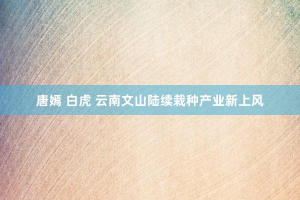 唐嫣 白虎 云南文山陆续栽种产业新上风