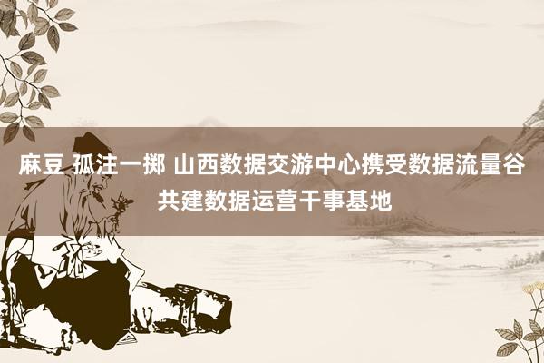 麻豆 孤注一掷 山西数据交游中心携受数据流量谷 共建数据运营干事基地