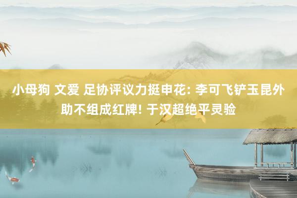 小母狗 文爱 足协评议力挺申花: 李可飞铲玉昆外助不组成红牌! 于汉超绝平灵验