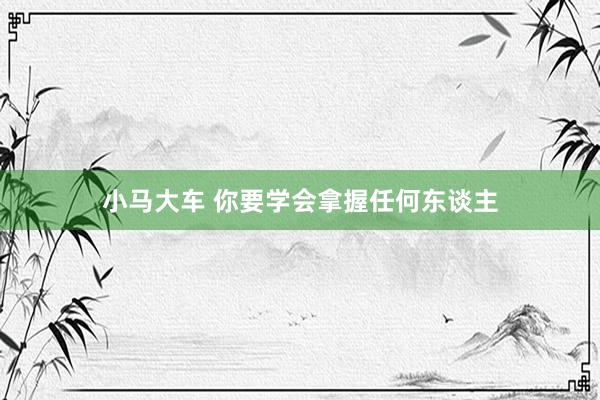 小马大车 你要学会拿握任何东谈主