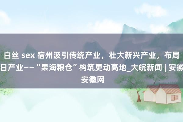 白丝 sex 宿州汲引传统产业，壮大新兴产业，布局异日产业——“果海粮仓”构筑更动高地_大皖新闻 | 安徽网